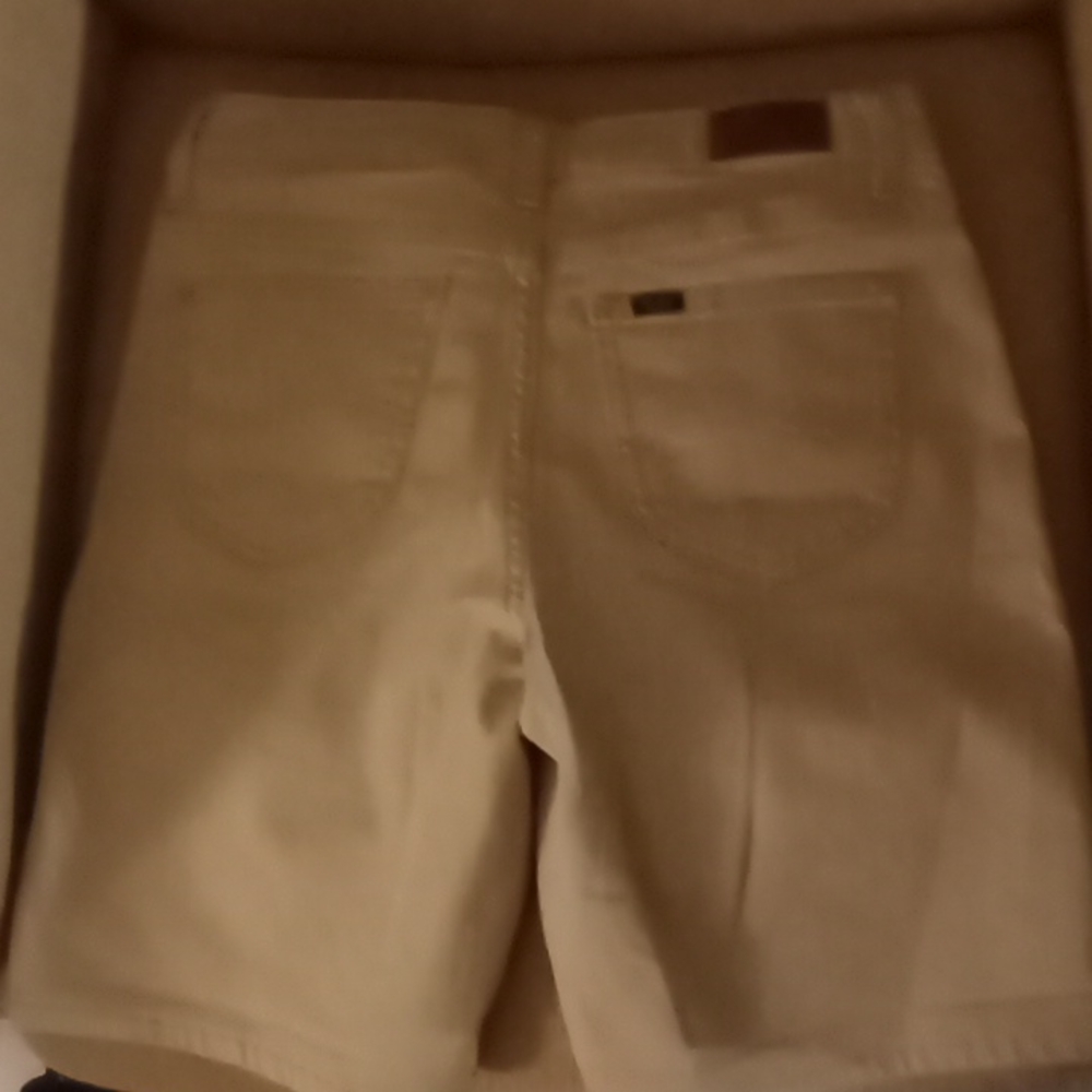 Shorts - Picture 4 of 4